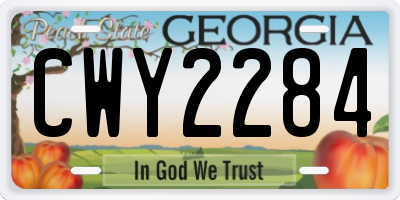 GA license plate CWY2284