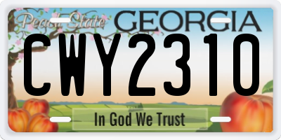 GA license plate CWY2310
