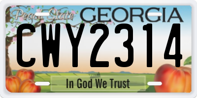 GA license plate CWY2314