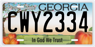 GA license plate CWY2334
