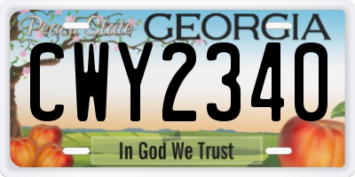 GA license plate CWY2340
