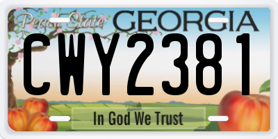 GA license plate CWY2381