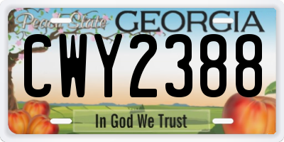 GA license plate CWY2388