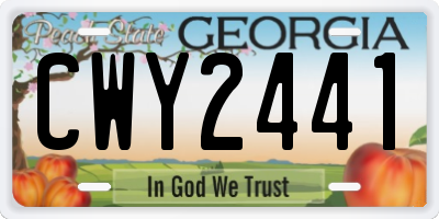 GA license plate CWY2441