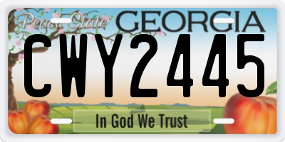 GA license plate CWY2445