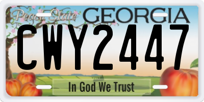GA license plate CWY2447