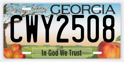GA license plate CWY2508