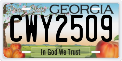 GA license plate CWY2509