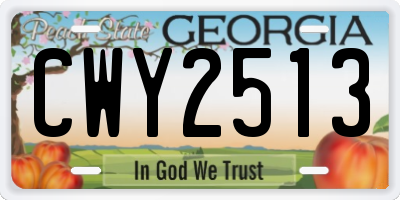 GA license plate CWY2513