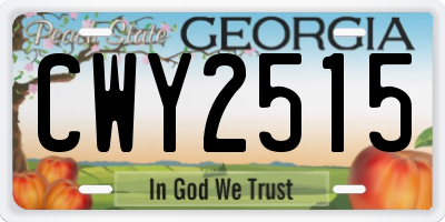 GA license plate CWY2515
