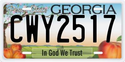 GA license plate CWY2517