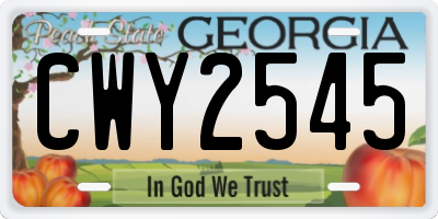 GA license plate CWY2545