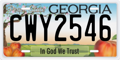 GA license plate CWY2546