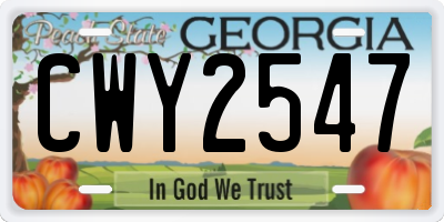 GA license plate CWY2547