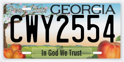 GA license plate CWY2554