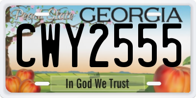 GA license plate CWY2555