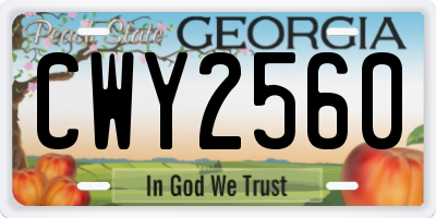 GA license plate CWY2560