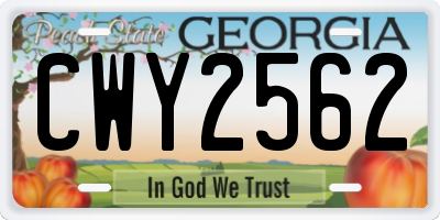GA license plate CWY2562