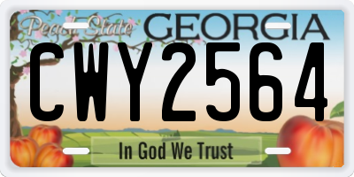GA license plate CWY2564