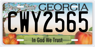 GA license plate CWY2565
