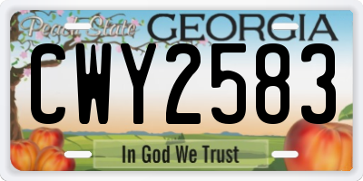 GA license plate CWY2583