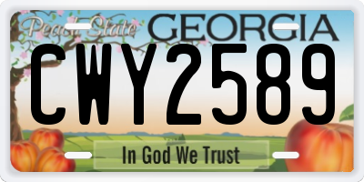 GA license plate CWY2589