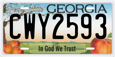 GA license plate CWY2593