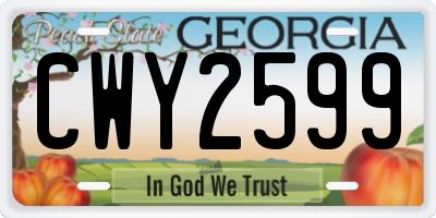 GA license plate CWY2599