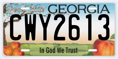 GA license plate CWY2613