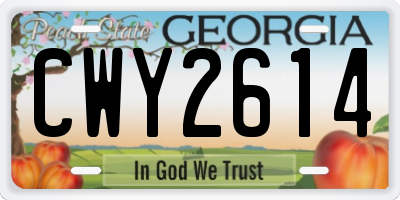 GA license plate CWY2614