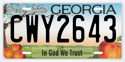 GA license plate CWY2643