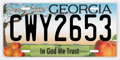 GA license plate CWY2653