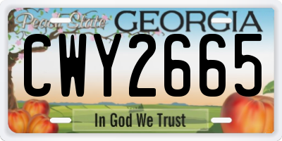 GA license plate CWY2665