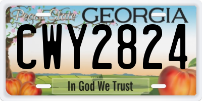 GA license plate CWY2824
