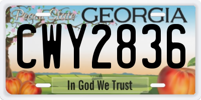 GA license plate CWY2836