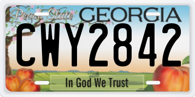 GA license plate CWY2842