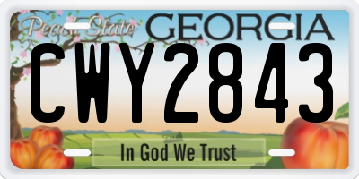GA license plate CWY2843