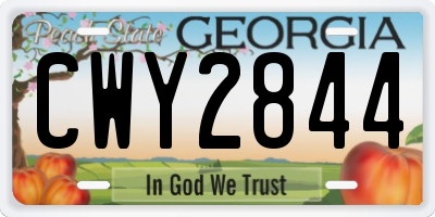GA license plate CWY2844