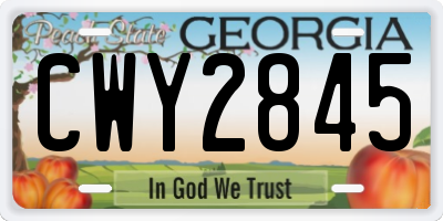 GA license plate CWY2845