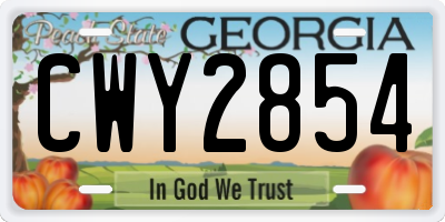 GA license plate CWY2854