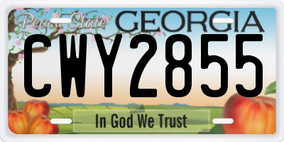 GA license plate CWY2855