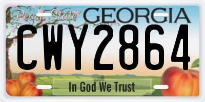 GA license plate CWY2864