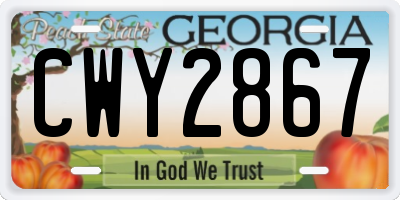 GA license plate CWY2867