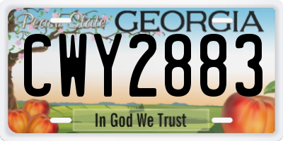 GA license plate CWY2883