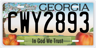 GA license plate CWY2893
