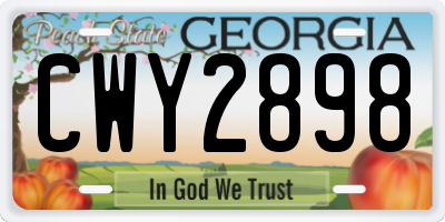 GA license plate CWY2898