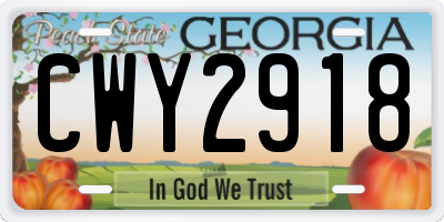GA license plate CWY2918