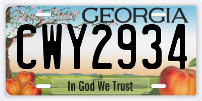 GA license plate CWY2934