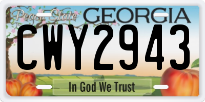 GA license plate CWY2943