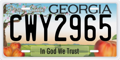 GA license plate CWY2965